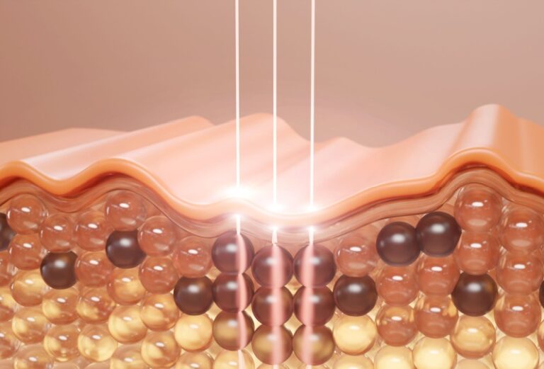 Imagens ilustrativas